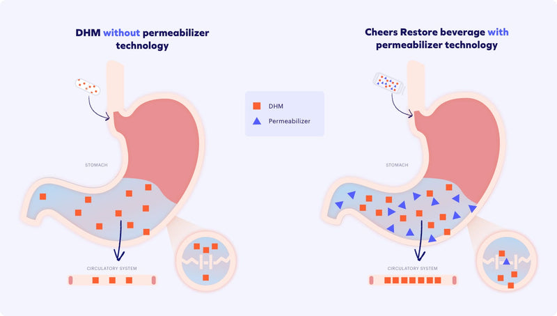 Bioavailability