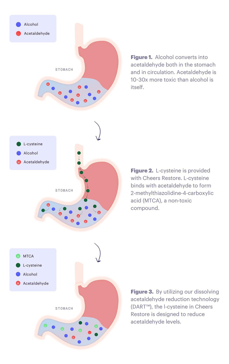 Graph showing how the ingredients help the stomach