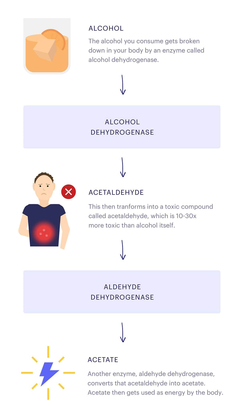 Flow chart showing what happens to alcohol in the body.