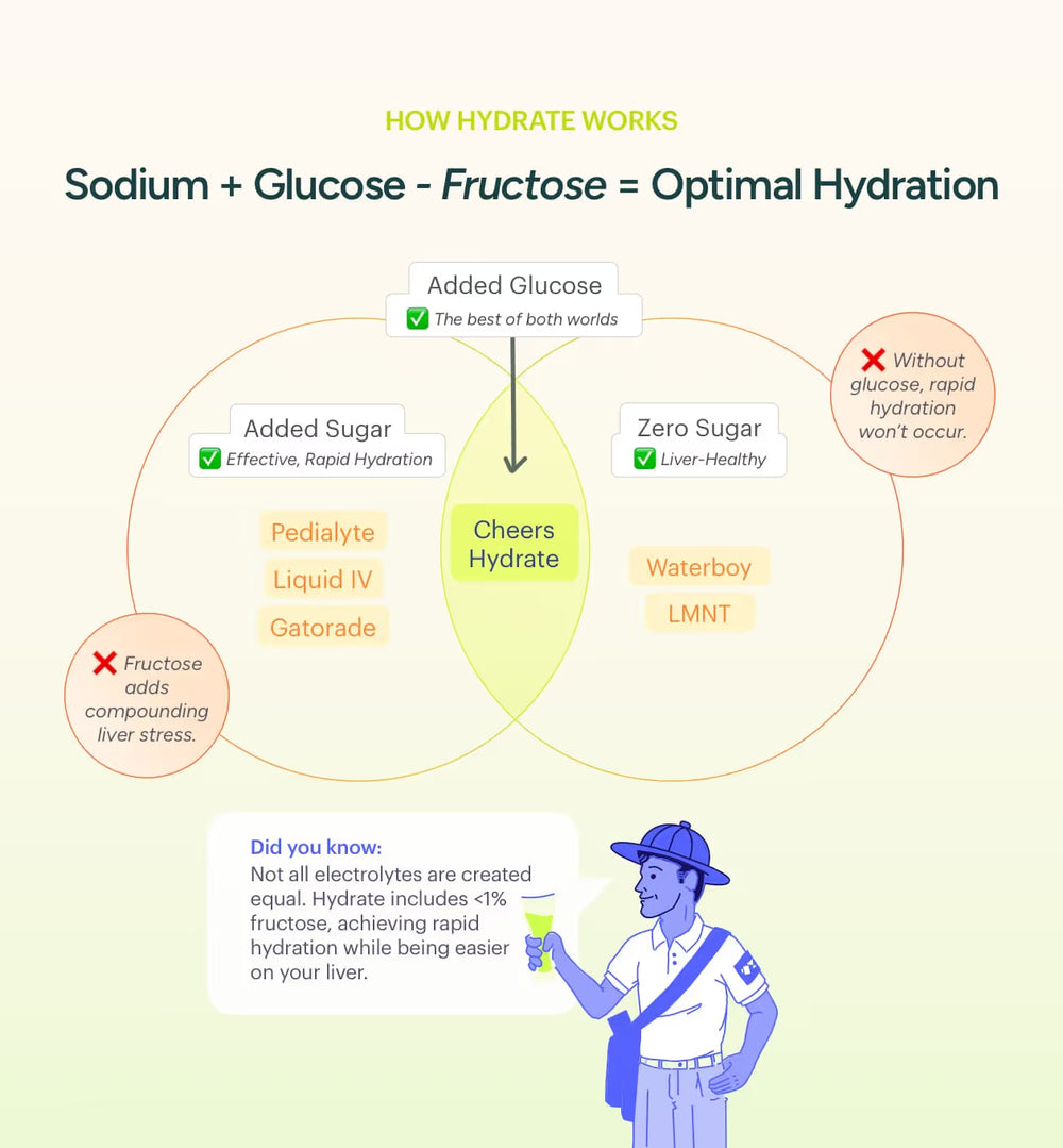 Cheers hydrate ven diagram infographic