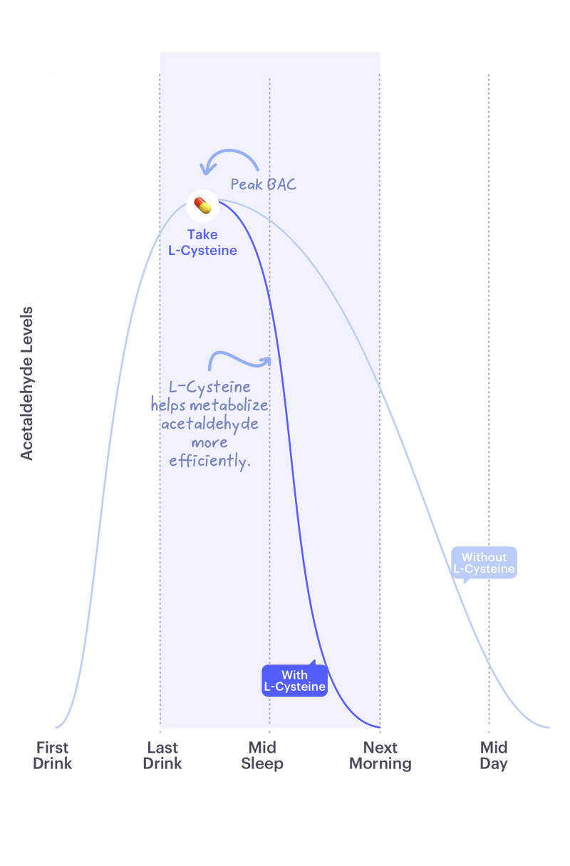 Graph showing acetylcysteine levels over a 24-hour period with annotations.
