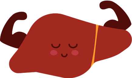 Cartoon liver illustartion