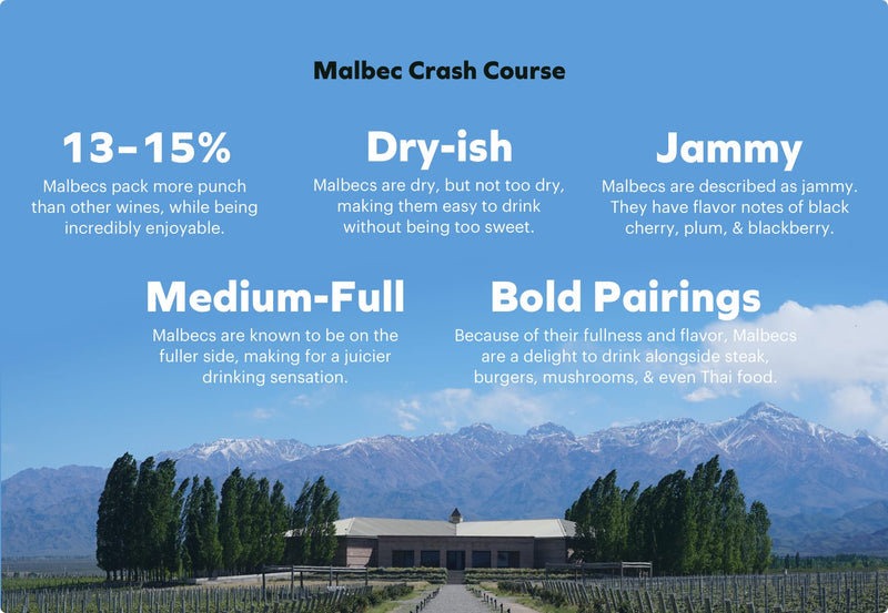 Vineyard with mountains in the background and text about Malbec wine on a blue sky.