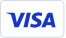 Visa card logo